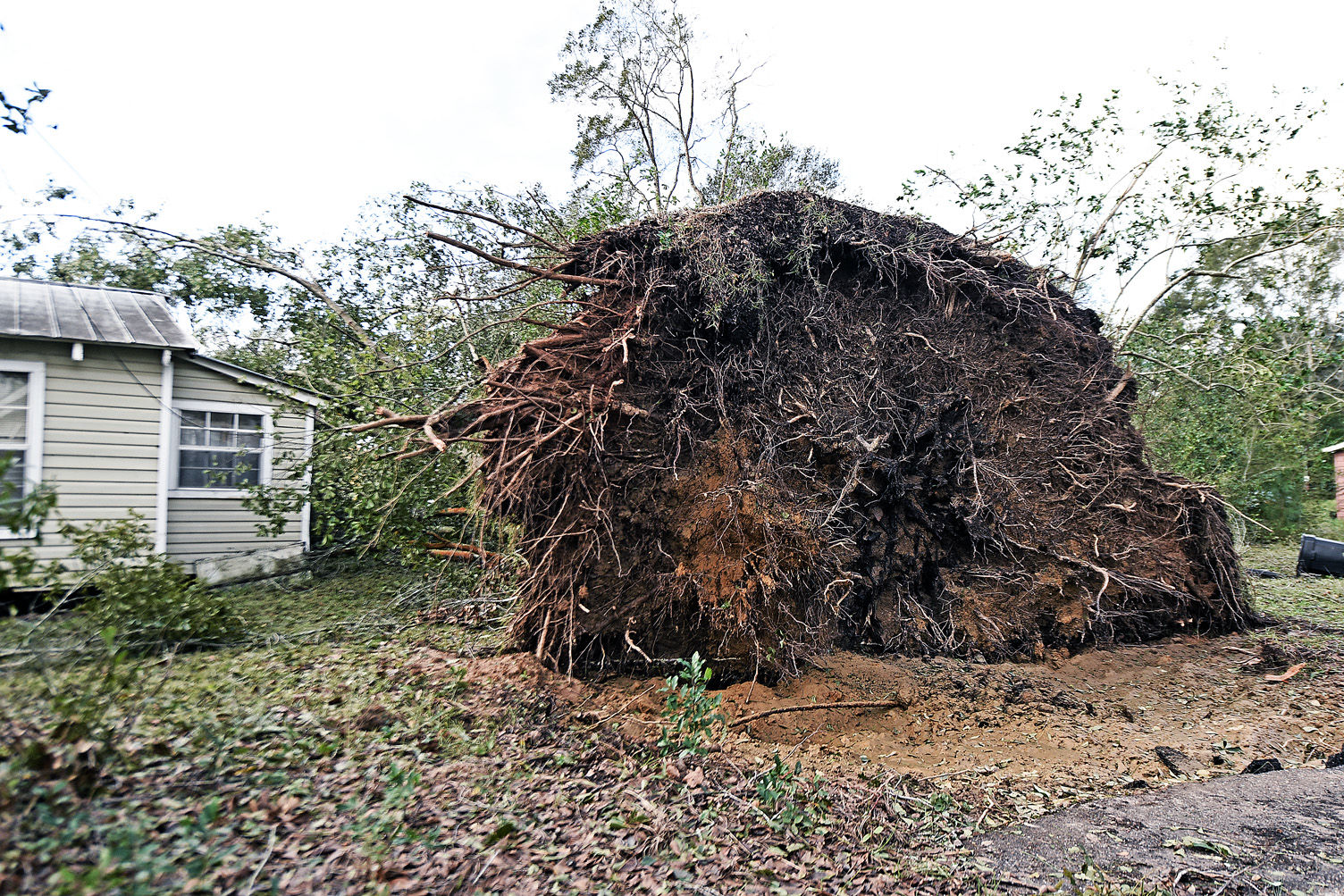 Hurricane Michael aftermath